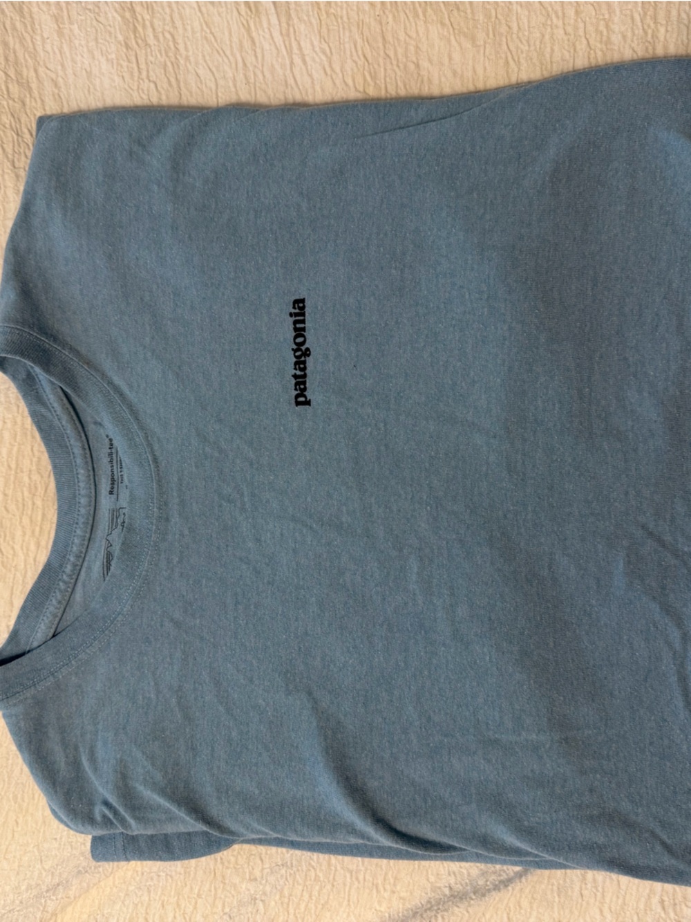 Patagonia Short Sleeve Tee in Slate Blue with Black Logo